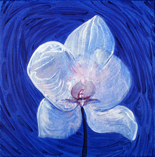 orchid1.jpg